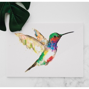 Colibri watercolor painting