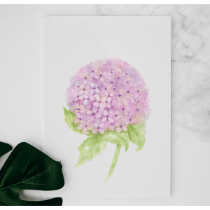 Peinture Hydrangea