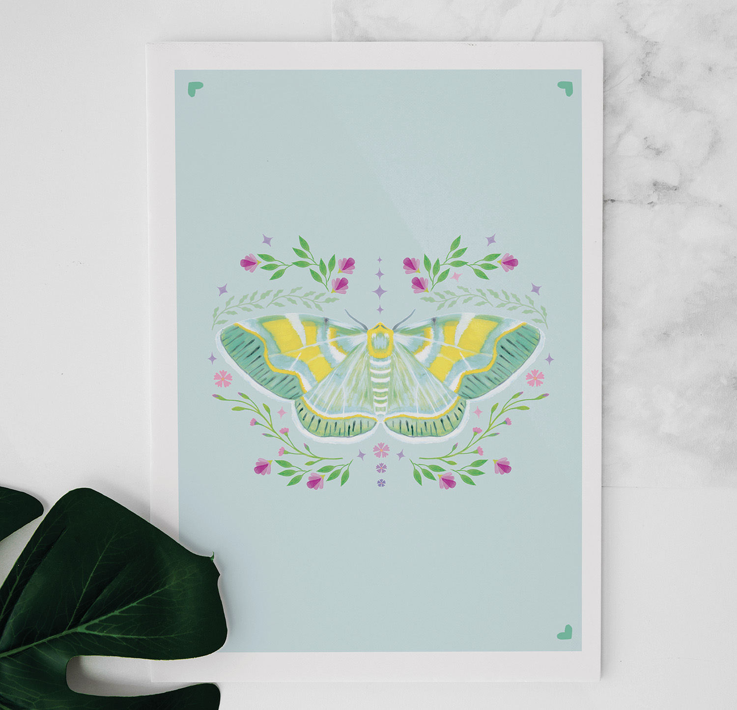 Iotaphora moth painting