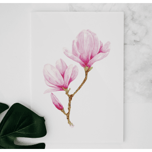 Magnolia watercolor painting