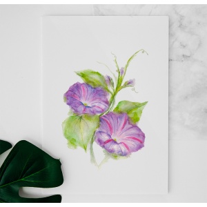 Morning glory watercolor painting