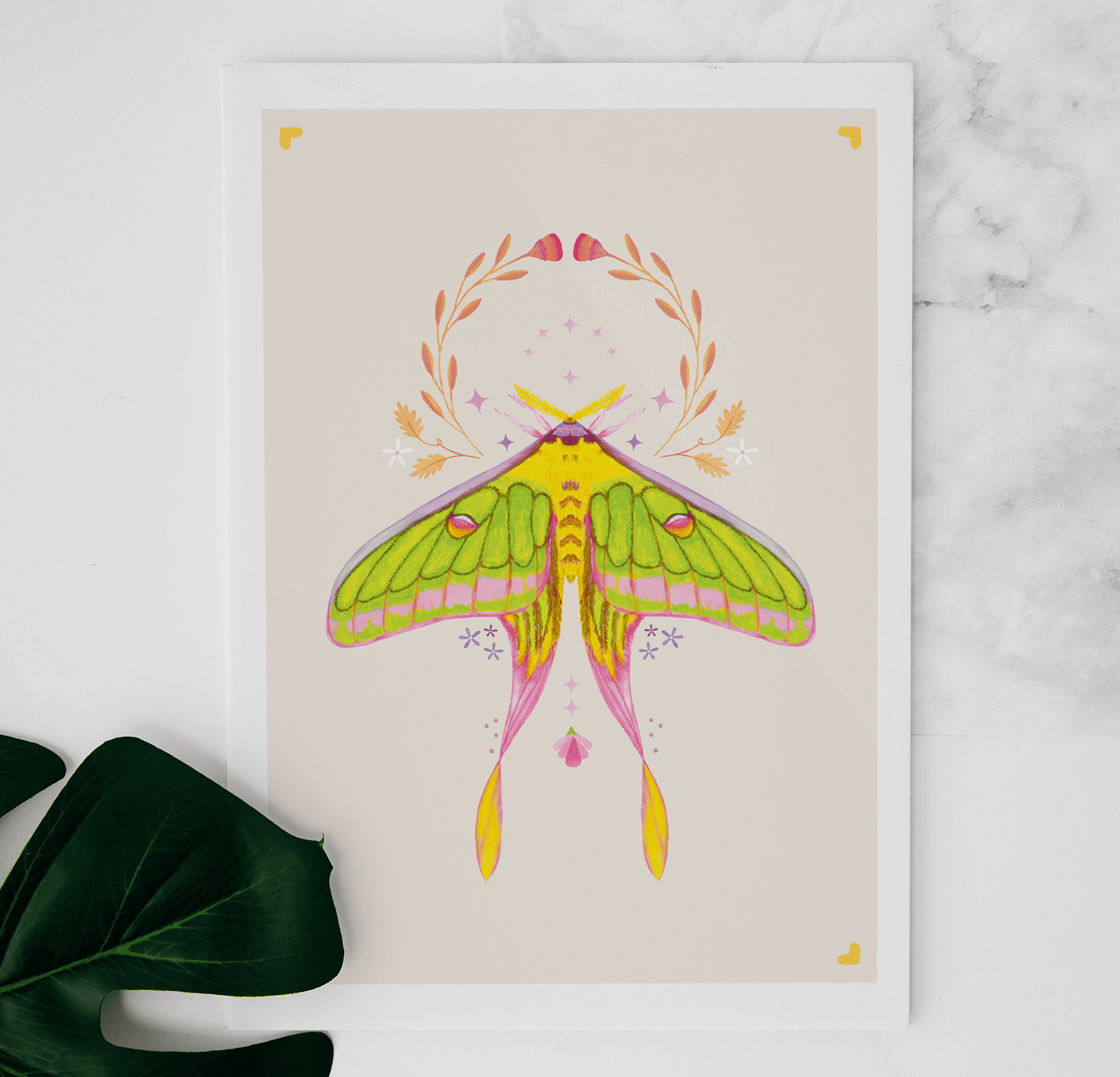 Luna Moth Illustration