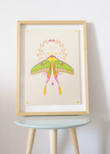 Affiche Papillon lune