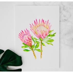 Protea watercolor painting