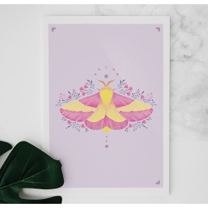 Rosy Maple moth painting